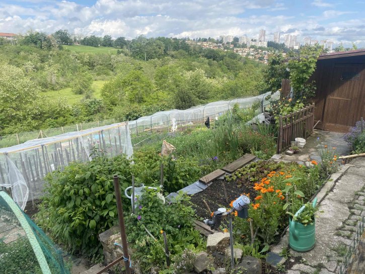image jardin_ouvrier_familiaux.jpg (1.0MB)